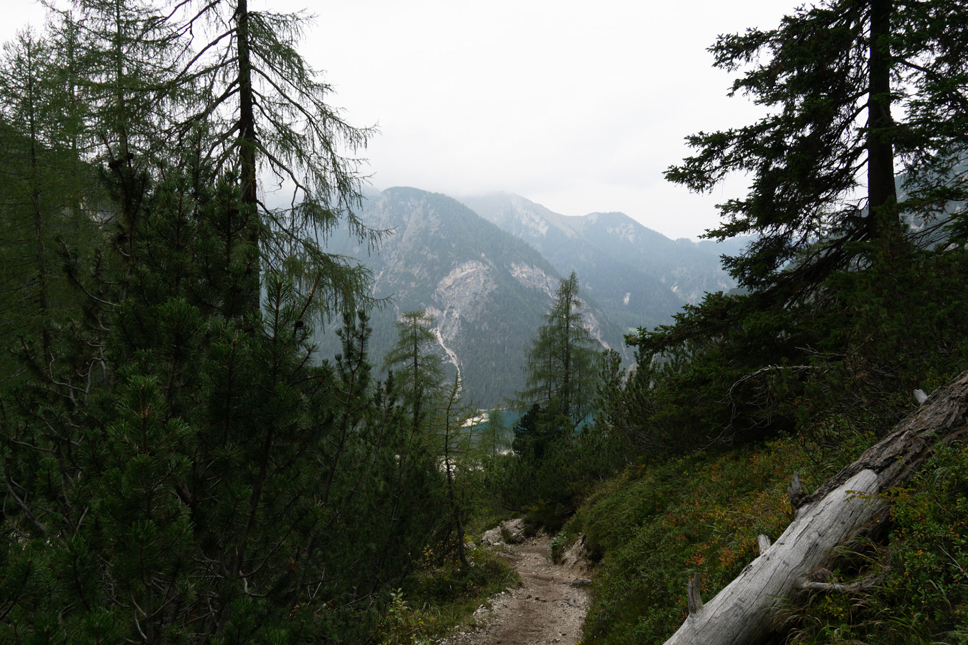 Steep mountain path